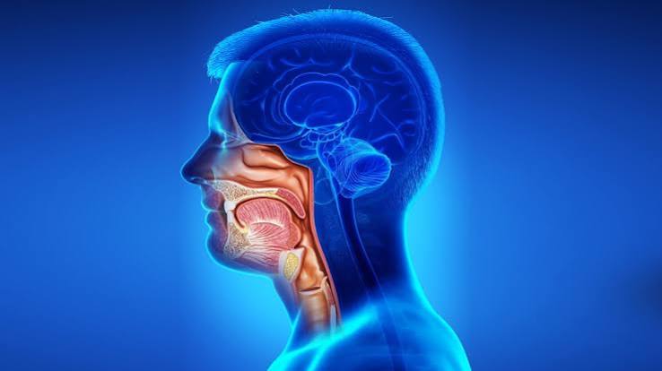 Is Head & Neck Cancer Curable?